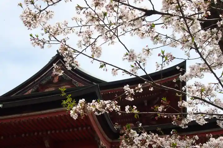 甲斐善光寺(山梨県)