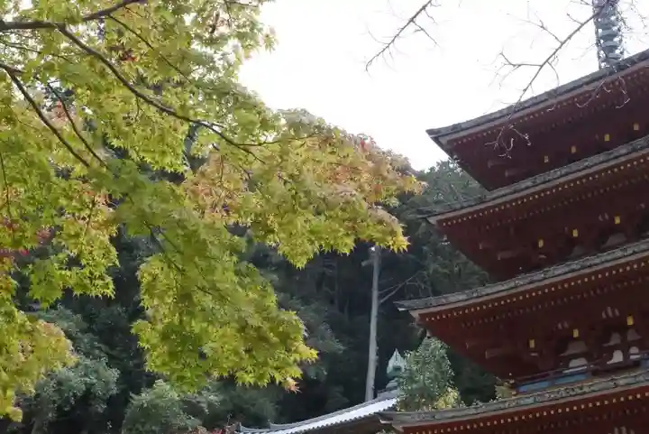 長谷寺のその他建物