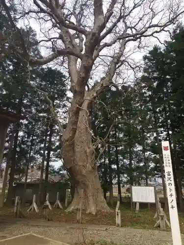 光清寺(山形県)