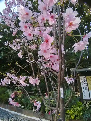 東京大神宮(東京都)