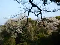 葛原岡神社の景色