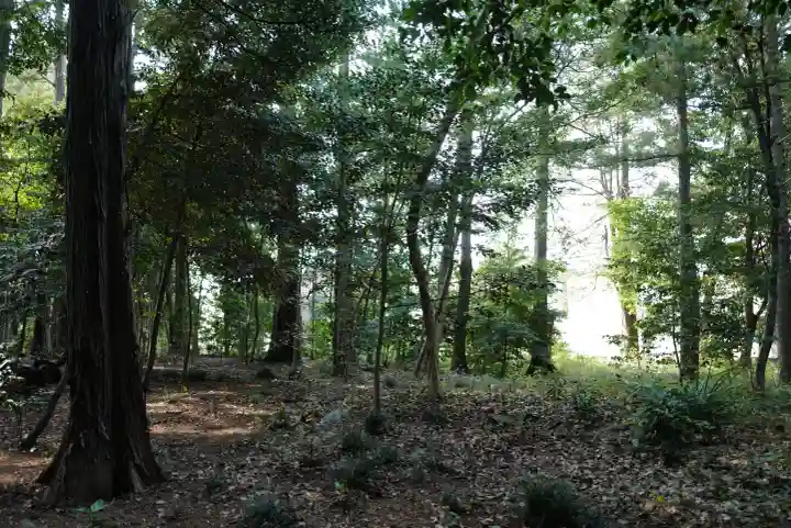 土支田八幡宮の{uncategorized: "未分類", other: "その他", undefined: "問題あり", building: "その他建物", grave: "お墓", sacred_gate: "鳥居", guardian: "狛犬", statue: "像", buddha: "仏像", history: "歴史", nature: "自然", garden: "庭園", animal: "動物", pagoda: "塔", temizu: "手水舎", mountain_gate: "山門・神門", sanctuary: "本殿・本堂", subordinate: "末社・摂社", art: "芸術", scenery: "景色", jizo: "地蔵", ema: "絵馬", goshuin: "御朱印", omikuji: "おみくじ", items: "授与品その他", amulet: "お守り", goshuincho: "御朱印帳", eats: "食事", festival: "お祭り", votive_dance: "神楽", shichigosan: "七五三参", wedding: "結婚式", experience: "体験その他", initially: "初詣", around: "周辺", anti_infection: "感染症対策"}