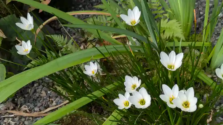 念仏寺(大原念佛寺)(京都府)