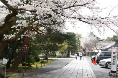 知恩院(京都府)