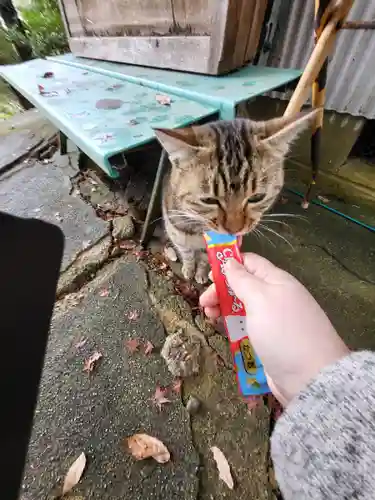 玉野御嶽神社(愛知県)