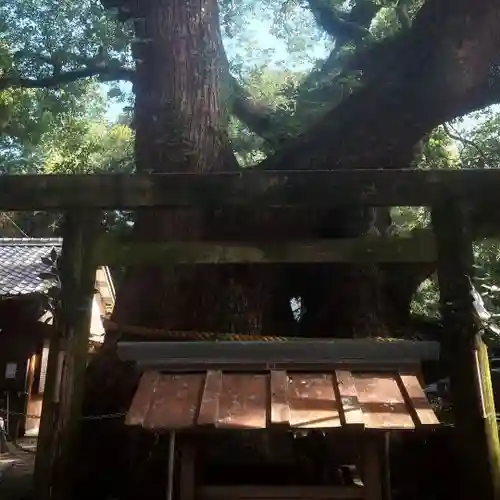 伊勢豊受稲荷神社(三重県)