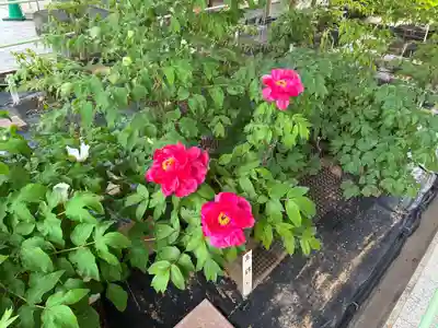 観音寺(徳島県)