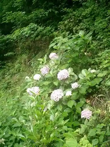 御霊神社の自然