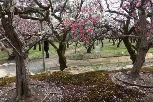 北野天満宮の庭園