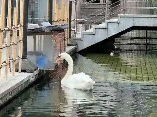 頂法寺（六角堂）(京都府)