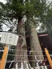 日光二荒山神社(栃木県)