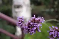 岩槻大師彌勒密寺の自然