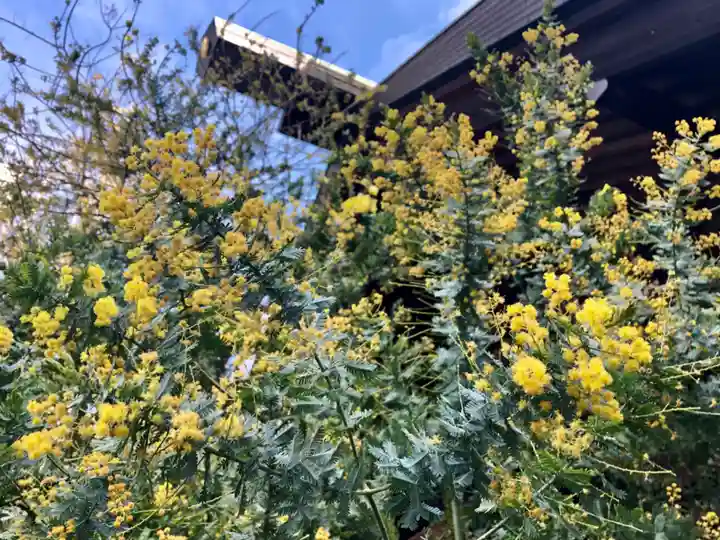 蔵前神社の自然