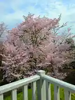 美幌神社(北海道)