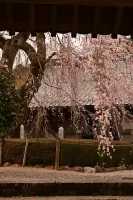 法蓮寺(愛媛県)