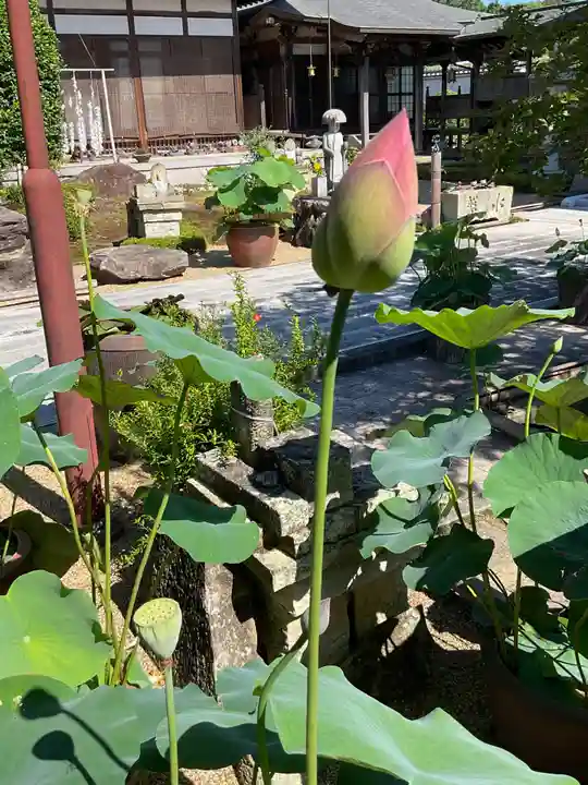 歓喜院(兵庫県)