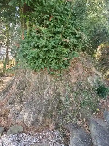 無量院（蓮華寺）のその他建物
