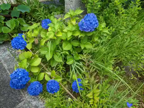 祐正寺の庭園