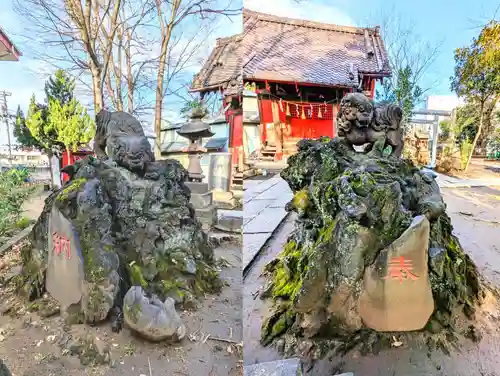 今井神社の狛犬