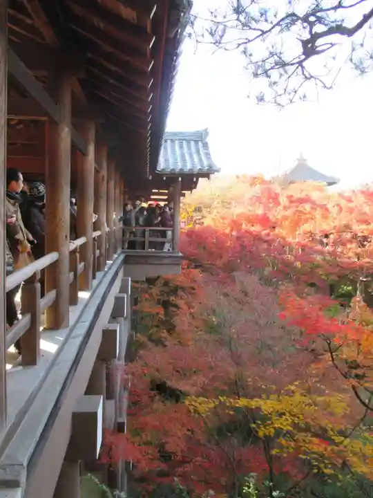 東福禅寺(東福寺)(京都府)