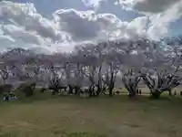 楠大明神(三重県)