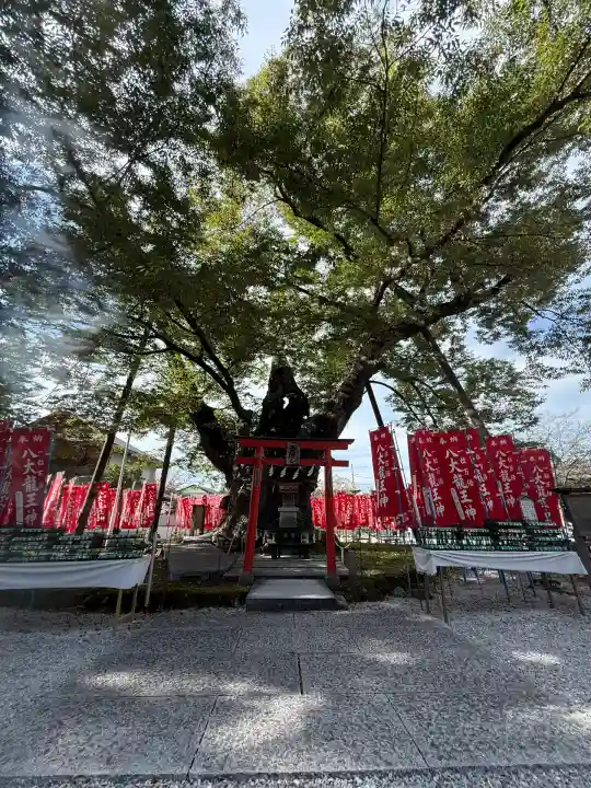 秩父今宮神社(埼玉県)