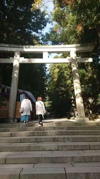 彌彦神社の鳥居
