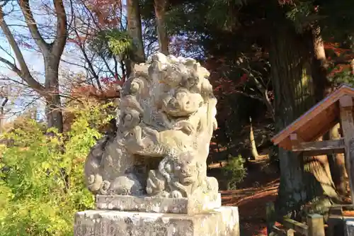 白河神社の狛犬