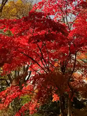小樽稲荷神社(北海道)