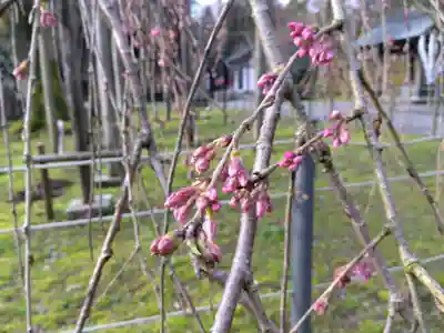 足羽神社(福井県)