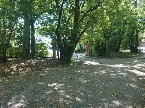 尾張大國霊神社（国府宮）の自然