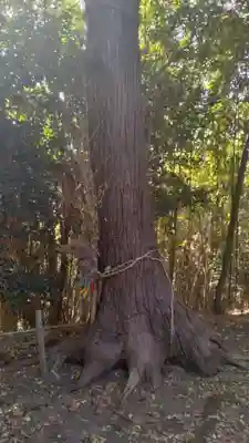 本壽院(宮城県)