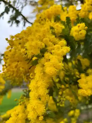 円照寺(兵庫県)