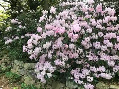南原寺(山口県)
