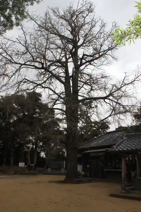 海上八幡宮(千葉県)