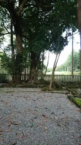 山宮浅間神社のその他建物