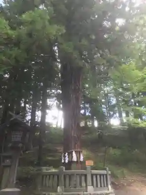 諏訪大社下社春宮(長野県)