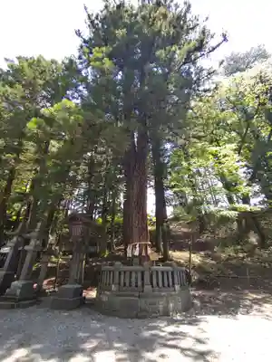 諏訪大社下社春宮(長野県)