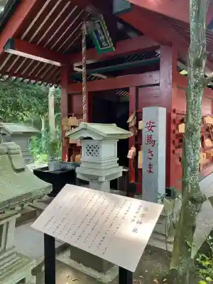 大杉神社(茨城県)