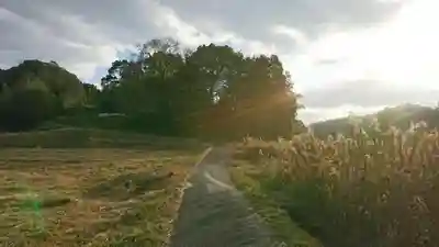 八幡神社の自然