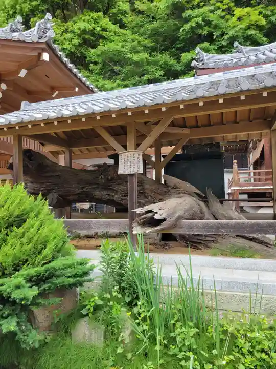 福祥寺(須磨寺)(兵庫県)