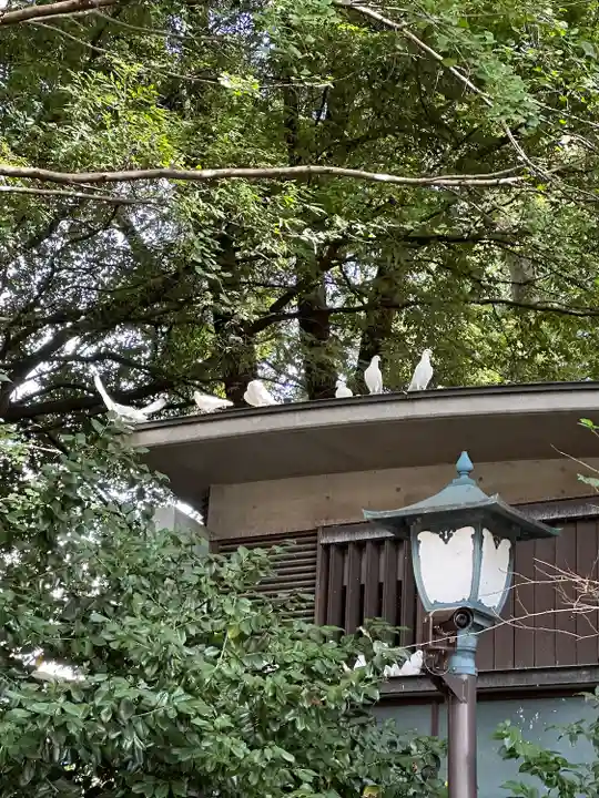 靖國神社(東京都)