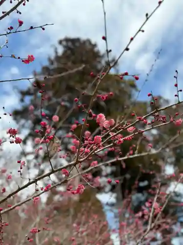 大洞院(静岡県)