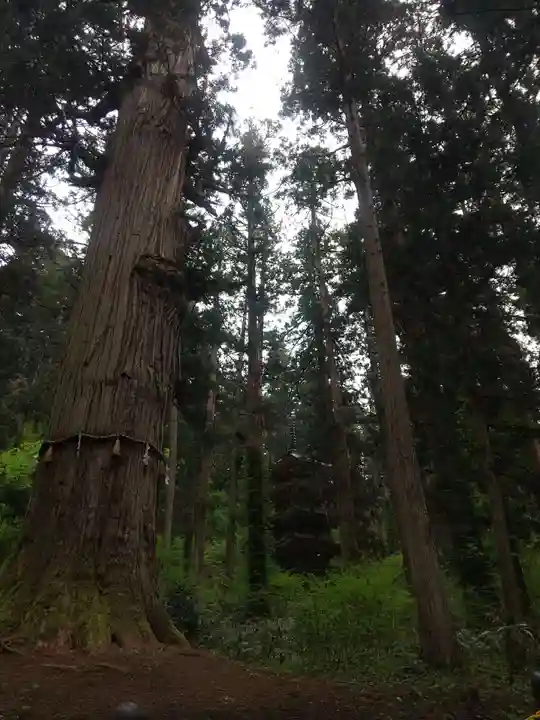 羽黒山五重塔(出羽三山神社)(山形県)