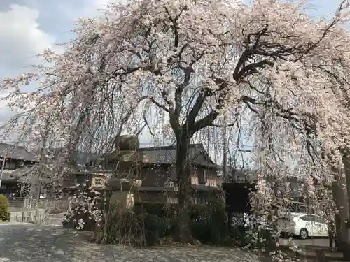 勝泉寺(三重県)