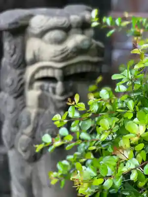 出雲大社沖縄分社の狛犬