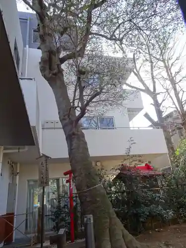 駒繋神社の自然