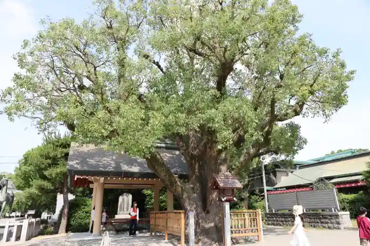 和泉國一之宮 大鳥大社(大阪府)