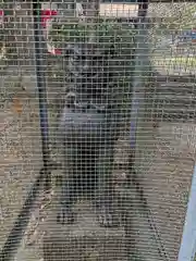 窯神神社の狛犬