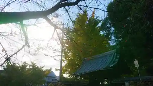 祐専寺の山門・神門